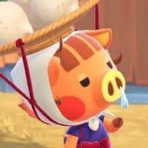 Meet your Posher, Caitlyn